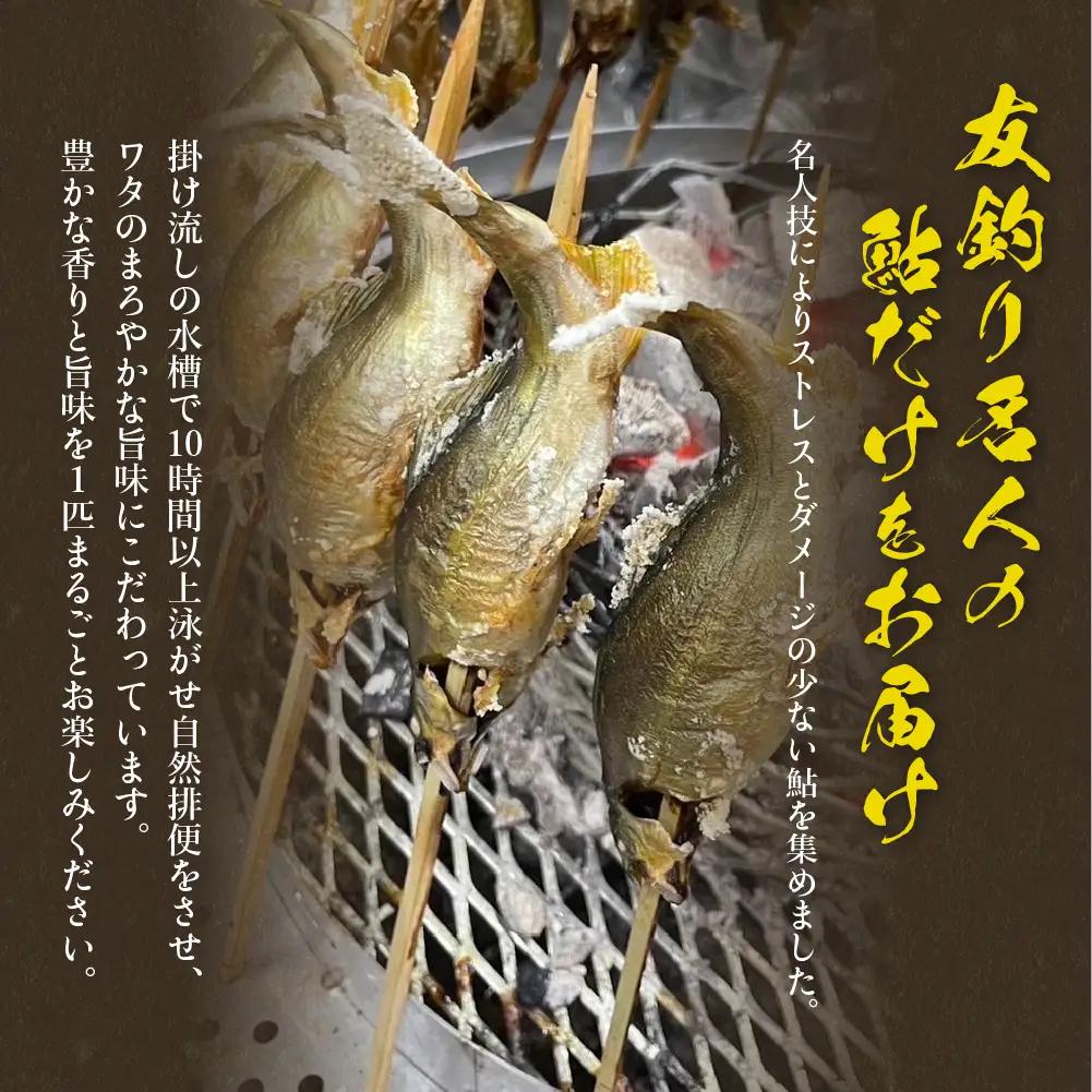 （2026年8月上旬頃から発送）幻の弓掛鮎 6尾セット【冷凍パック】【107-1】