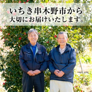 鹿児島県産100％椿油 300ml(100ml×3本)  いちき串木野産椿油 椿油3本セット 食用椿油【A-1287H】