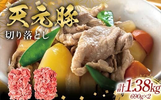 
                  天元豚切り落とし690g×2 F2Y-6583
                