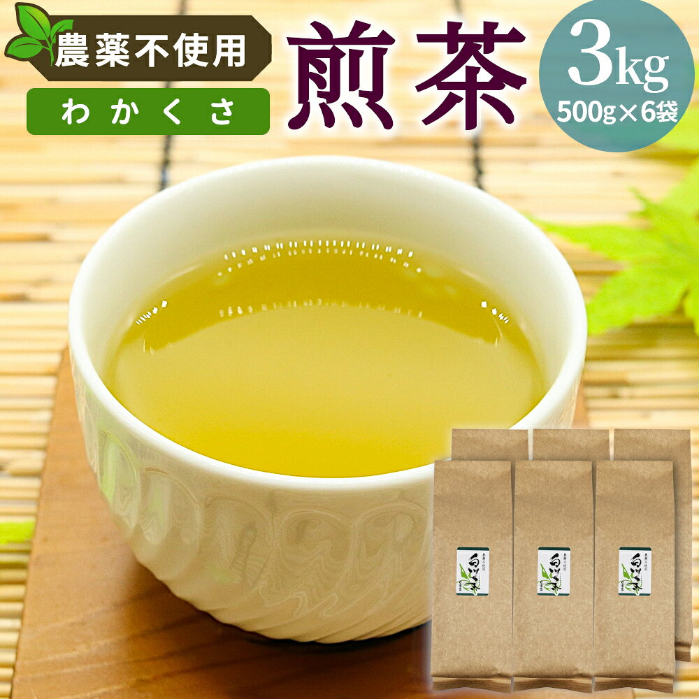 【ふるさと納税】農薬不使用！煎茶 わかくさ 3kg 常磐園 日本茶 白川茶 美濃白川茶 農薬不使用栽培茶 緑茶 煎茶 茶葉 お茶 二番茶 春摘み 大容量 岐阜県 東白川村 家庭用 事務所用