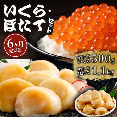 ふるさと納税 紋別市 【定期便6か月】いくら醤油漬け500gほたて1.1kgセット×6回