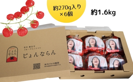 モリヒロ園芸が育てたじょんならんトマト（ご自宅用ボックス） 野菜 ミニトマト サラダ 糖度高め 甘味 酸味 リコピン 