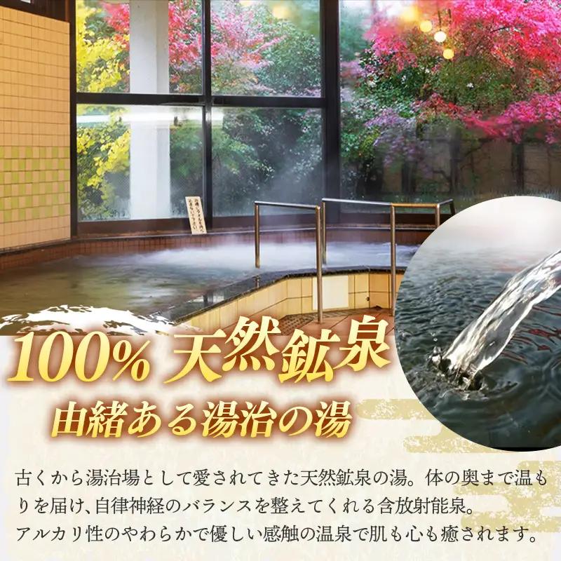湯田山荘 入浴回数券 12枚綴り×2セット【入浴券 温泉 チケット 100% 天然鉱泉 くつろぎ 癒し リフレッシュ ご褒美 贅沢 旅行 立ち寄り湯 温泉宿 島根県 安来市】【44-ED-02】