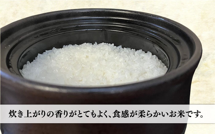 【令和5年産】伊都の米 5kg 糸島市 / 納富米穀店 [ARL001] 白米 玄米 米