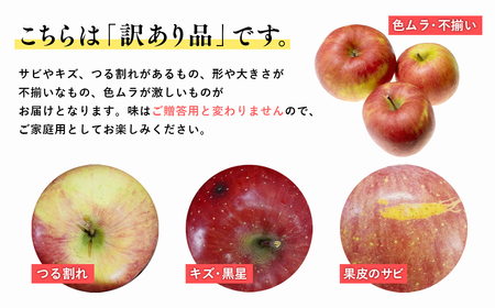 2025年産１０月発送　【訳あり】家庭用紅玉10ｋｇ　【そと川りんご園・１０月・青森県産・平川市・りんご・紅玉・10ｋｇ・訳あり・家庭用】