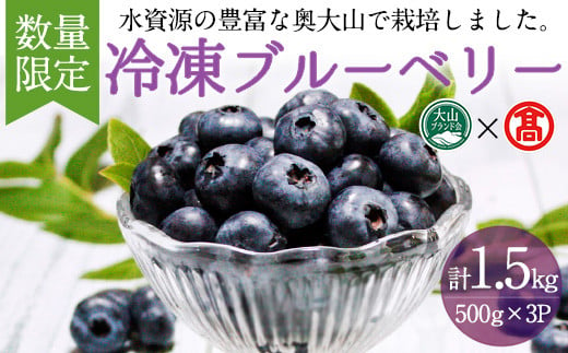 ＜数量限定＞冷凍ブルーベリー(500g×3P・計1.5kg)【T-BI4】【大山ブランド会】