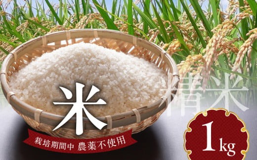 米 1kg N0182-YA0473