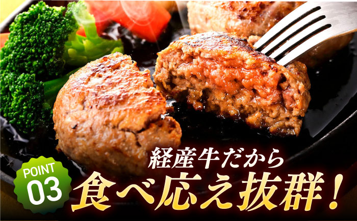 【3回定期便】牧場直営店の手作りハンバーグ（140g×5個）【川﨑畜産】 [IAX057]