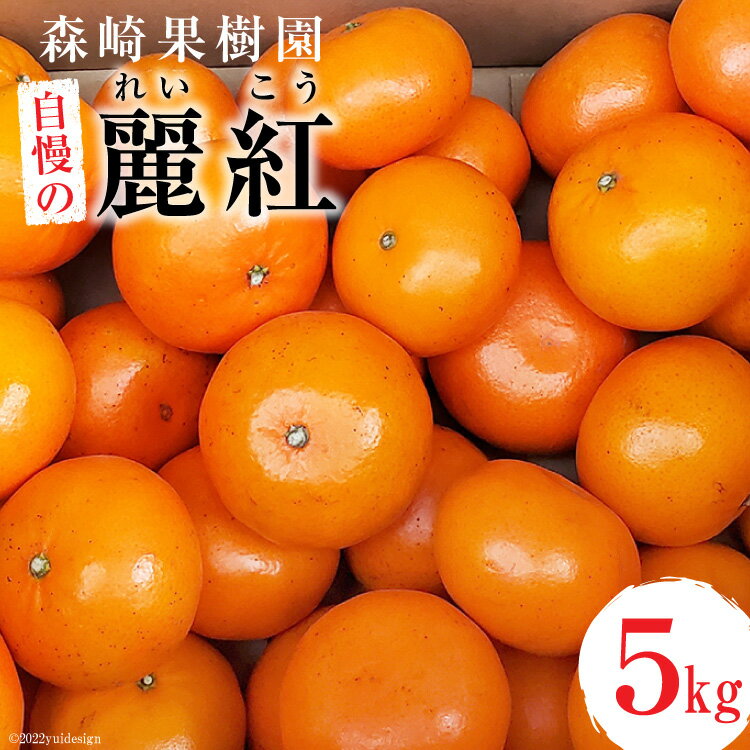 【ふるさと納税】 BD021 森崎果樹園自慢の『麗紅（れいこう）』5kg [みかん ミカン れいこう 麗紅 5キロ 果物 森崎果樹園 長崎県 島原市]