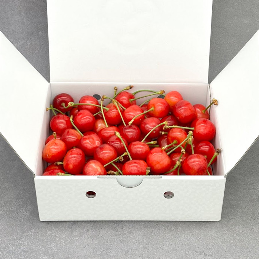 ＜岩原果樹園＞北杜市産　さくらんぼ2L～3L500g バラ箱詰め