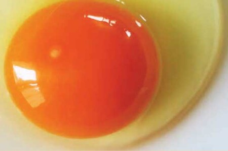 【6回定期便】2週間以内に発送 きれいな水で育てた卵 赤たまご 20個  | 早く届く すぐ すぐ発送 保坂農場 赤卵 赤玉 赤い卵 銘水 卵 たまご 定期便 6回 君津市産 千葉 君津 きみつ 房総