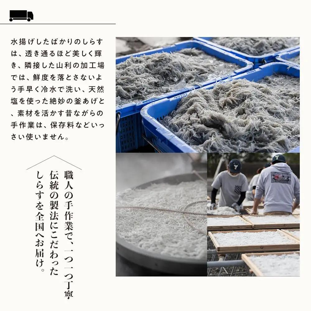 七代目 山利 釜あげしらす 900g 紙箱入り 春しらす【2026年発送】