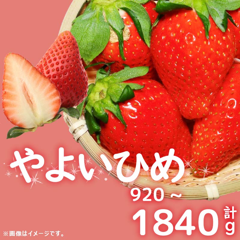 【ふるさと納税】 訳あり いちご やよいひめ 計 920から1840g 苺 先行予約 ストロベリー 果物 フルーツ ケーキ ゼリー ジュース アイス シャーベット チョコ フルーツサンド 洋菓子 和菓子 スイーツ デザート ジャム 不揃い 規格外 甘い 人気 おすすめ お取り寄せ グルメ