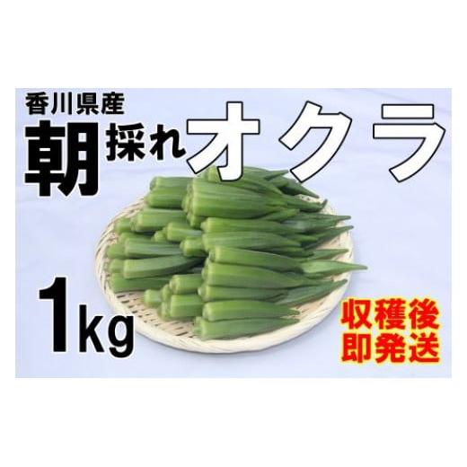 【ふるさと納税】【2026年産】　善通寺市産オクラ 1kg