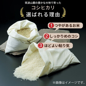 令和5年産 茨城県産 無洗米コシヒカリ　精米　合計15kg（5kg×3袋） ※着日指定不可 ※離島への配送不可