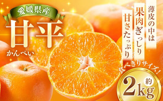 甘平 約2kg みかん ミカン 蜜柑 柑橘 柑橘系 柑橘類 くだもの 果物 フルーツ 果実 果汁 果肉 国産 愛媛県産 愛媛みかん かんぺい 果肉感 【2027年2月下旬-4月下旬発送予定】 ( 1118 )
