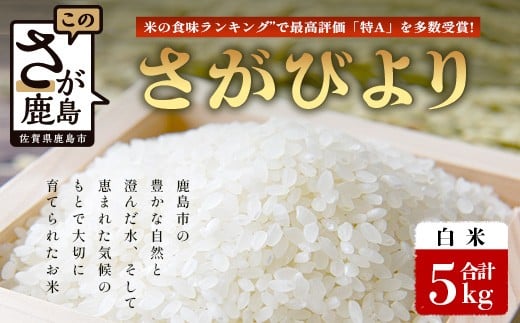 
            【鹿島市産】＼生産者直送／ さがびより 白米5kg　さがびより 佐賀県産さがびより 佐賀県鹿島市 お米 米 精米 玄米 ふるさと納税 お米 ご家庭用米 主食ギフト 美味しいお米 お取り寄せ 贈答用米 食卓応援　C-153
          