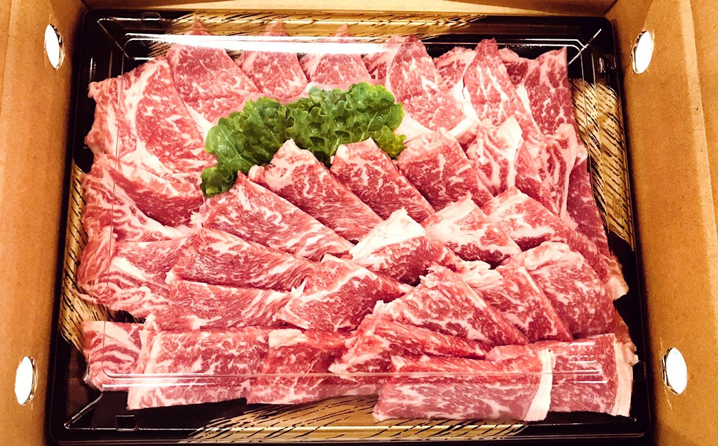 【数量限定博多和牛】ロース焼き肉用 約500g