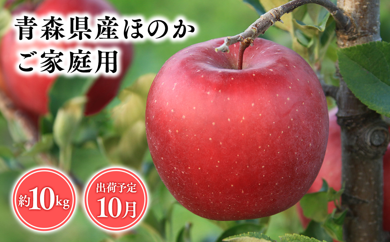 
１０月発送　【訳あり】家庭用ほのか10ｋｇ　【そと川りんご園・１０月・青森県産・平川市・りんご・ほのか・10ｋｇ・訳あり・家庭用】
