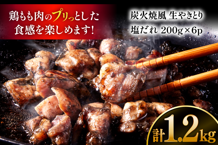 【新登場】 炭火焼鳥 炭火焼風生やきとり 塩だれ 200g×6P [日本ハムマーケティング 宮崎県 日向市 452061510] 鶏もも 鶏 宮崎 おつまみ 酒のアテ 炭火焼 炭火焼き やきとり