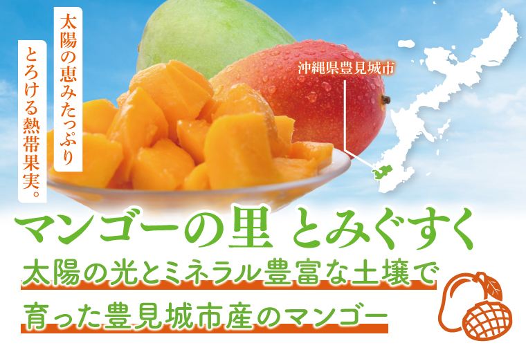 【2025年6月より順次発送】【先行予約】赤秀アーウィンマンゴー 3～4玉(約1.5kg)(化粧箱)｜沖縄県 豊見城市 マンゴー アーウィンマンゴー フルーツ 果物 くだもの おきなわマンゴー ギフト