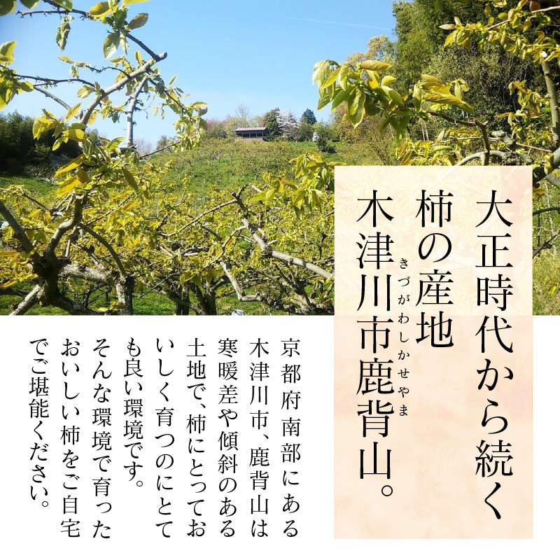 かせやまの柿-富有柿　Lサイズ　約3.5kg