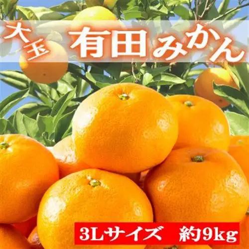 【食べごたえ十分】和歌山有田みかん大玉約9kg(3Lサイズ・秀品)【日高町】【1231044】