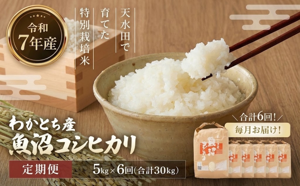 【令和7年産 定期便】【毎月お届け】わかとち産 魚沼コシヒカリ 特別栽培 棚田米 5kg×6回 白米 精米  新潟県産 コシヒカリ