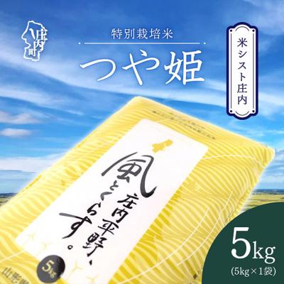 ふるさと納税 庄内町 米シスト庄内 庄内平野、風と暮らす つや姫5kg 特別栽培米 令和7年産 2025年産 ブランド米