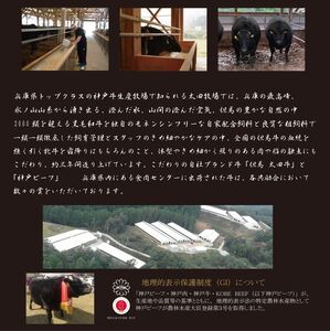 KGST6 神戸牛 ロースステーキ 200g×6枚 計1200g | ロースステーキ ロース ステーキ 肉 にく 牛肉 牛 兵庫県 上郡町