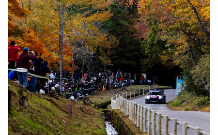 ラリージャパン【稲武設楽SS（稲武観戦エリア）観戦券／大人１名（夏焼グラウンドP&R）】5月29日（金）