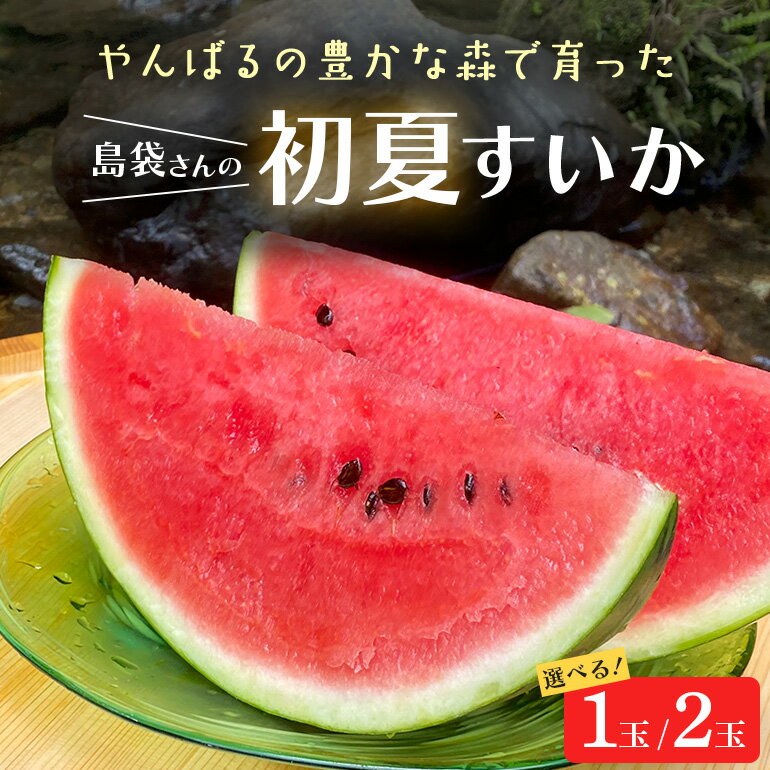 【ふるさと納税】先行予約島袋さんの初夏スイカ 選べる1玉～2玉(1玉5～7kg)【2025年5月下旬～6月発送予定】【配送不可地域：離島】【G1577669】