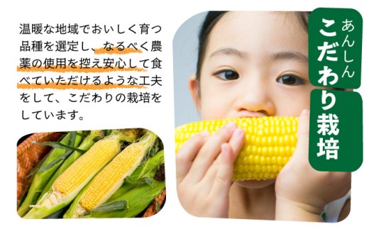 【先行予約2025年12月-2026年4月】 1番遅くて1番早い⁉ 朝採れプレミアムスイートコーンを皮付きのまま15本お届け！！