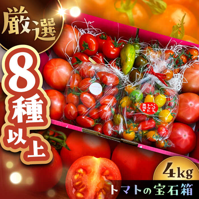 【ふるさと納税】トマトの宝石箱 4kg / トマト とまと 大玉トマト ミニトマト 詰め合わせ お取り寄せ 産地直送 とまと トマト 野菜 やさい プレゼント 岐阜市産 恵那市産 /恵那市/クリエイティブファーマーズ ［AUAH015］