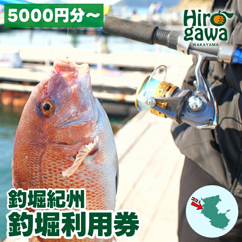 【ふるさと納税】 釣り堀 紀州 5000円 利用券 / 体験チケット 釣堀り いかだ釣り 筏釣り 海釣り 和歌山 関西 近畿 //ticket