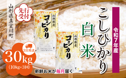 
            ＜令和7年産米先行受付＞ 真室川町産 こしひかり 【白米】 定期便 30kg （10kg×1ヶ月間隔で3回お届け）＜配送時期指定可＞
          