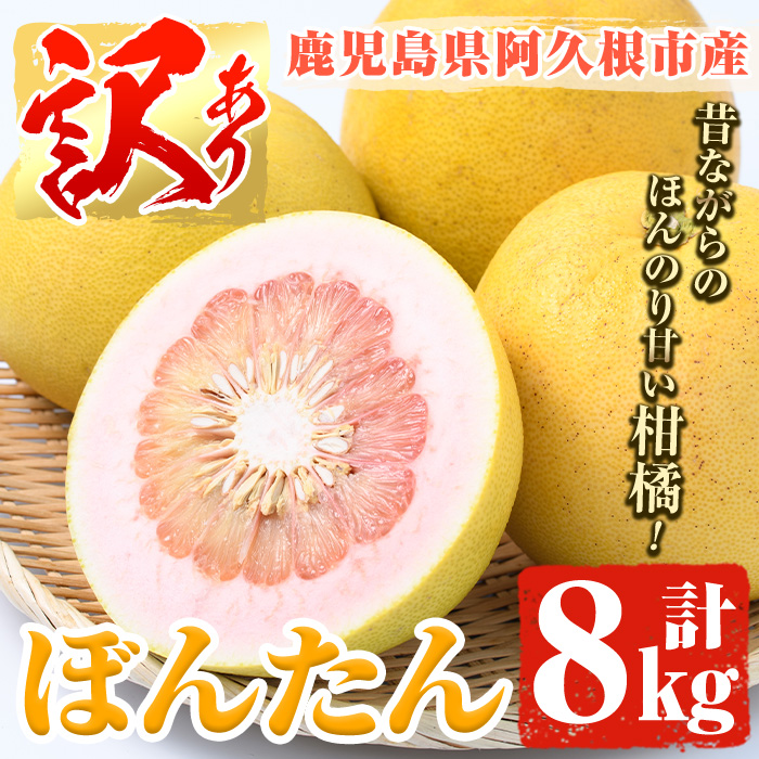 ＜先行予約受付中！2027年1月上旬以降順次発送予定＞訳あり！鹿児島県阿久根市産ボンタン(計8kg)国産 ぼんたん 文旦 柑橘 果物 フルーツ【松永青果】akn053-02