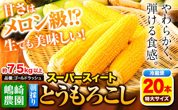 朝採りとうもろこし スーパースィート 「ゴールドラッシュ」 特大サイズ 20本(1本380g以上) Lサイズ 《8月中旬-9月中旬頃より順次出荷》嶋崎農園 送料無料 北海道 本別町北海道 十勝 本別町産 スーパースイート トウモロコシ 一番果 冷蔵便 甘い