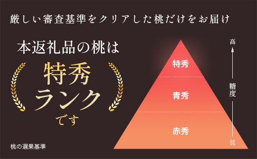 もも【2026年産9月発送／品種おまかせ】特秀3kg（8～11玉）桑折町振興公社　【07301-0234】