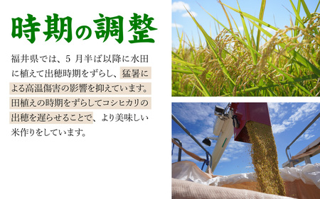 （令和6年産）万田酵素で育てた健康米 福井県産こしひかり5kg 精米  [A-150002] 