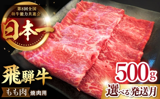 【10月発送】【 飛騨牛 】 焼肉 用 もも 肉 500g  牛肉 国産 ブランド牛 和牛 多治見市 / 肉のひぐち [TDC003-10]