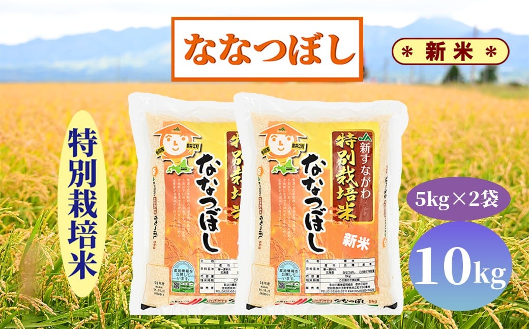
            【新米予約】北海道奈井江町　特別栽培米　ななつぼし　10kg
          