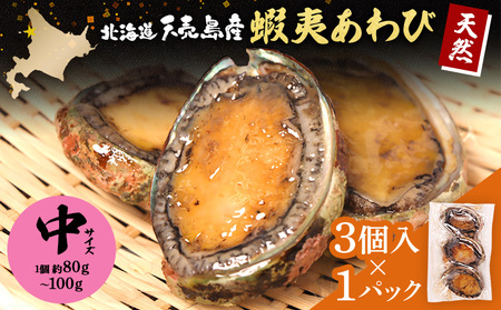 【北海道】天売島産 天然蝦夷あわび 中サイズ 3個入×1パック (1個 約80g～100g)【02169】