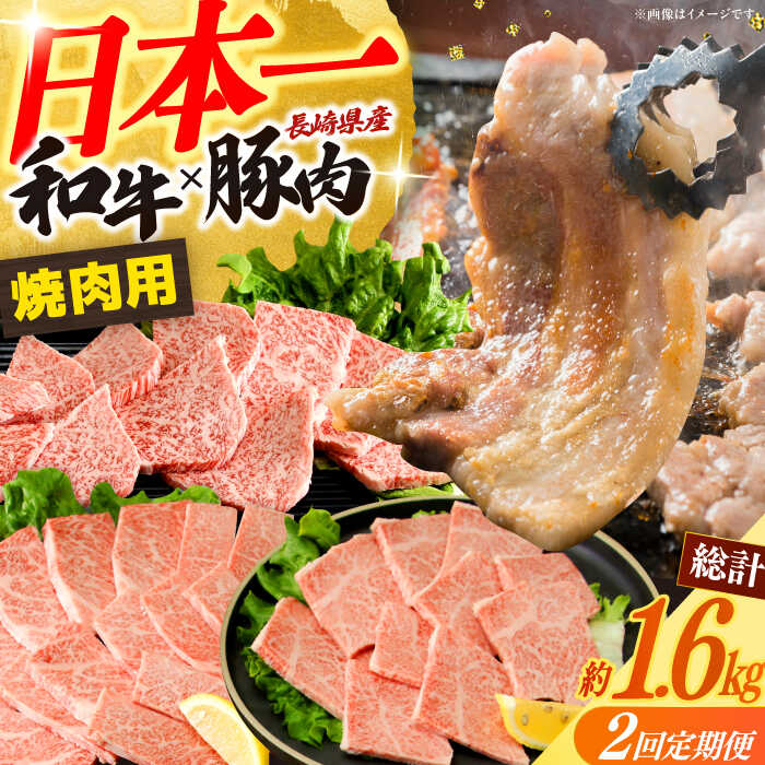【ふるさと納税】【2回定期便】長崎和牛＆豚肉焼肉コース 総量1.6kg / 牛肉 モモ もも ロース ろーす 肩ロース カルビ かるび 豚肉 豚肉 豚ロース 豚バラ バラ ばら 焼肉 焼き肉 小分け 牛肉定期便 / 大村市 / おおむら夢ファームシュシュ[ACAA066]