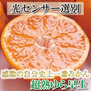 ＜2024年11月より発送＞厳選　超熟有田みかん5kg+150g(傷み補償分)【光センサー選果】【配送不可地域：離島・北海道・沖縄県】【1318069】