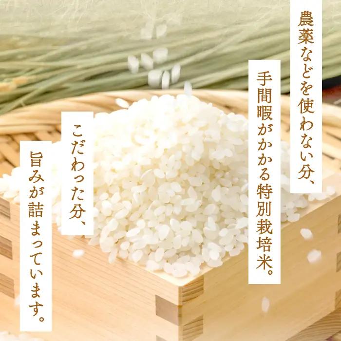 【季節限定27日配送】出雲國仁多米特別栽培米8kg定期便5回【仁多米 こしひかり 特別栽培米 8kg 定期便 5回 ブランド米 コシヒカリ 白米 精米】