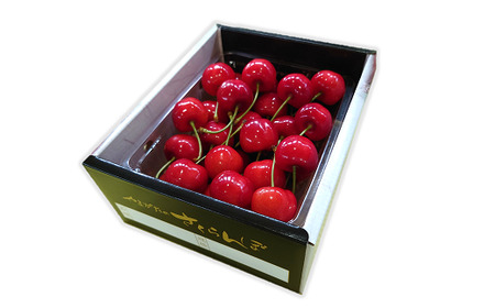 【令和6年産先行予約】 さくらんぼ 「紅秀峰」 約500g (特秀 2L) 《令和6年6月下旬～発送》 『マルエ青果』 先行予約 サクランボ 果物 フルーツ 山形県 南陽市 [1406]