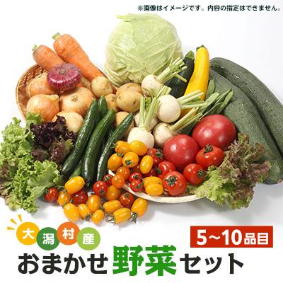 ふるさと納税 大潟村 【数量限定】大潟村産おまかせ野菜セット【5〜10品目】