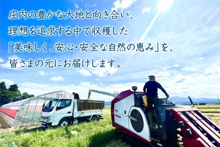 【数量限定】【令和7年産新米キャンペーン】特別栽培米つや姫 5kg(5kg×1袋) 　うまい庄内
