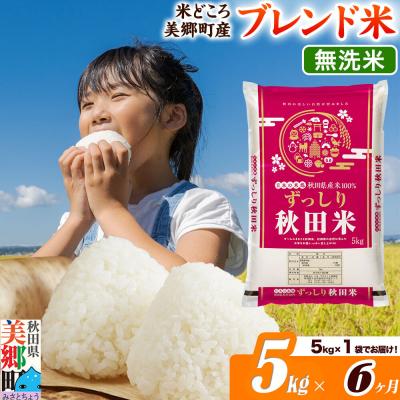 ふるさと納税 美郷町 《定期便6ヶ月》ブレンド米【無洗米】精米 5kg(5kg×1袋)|01_ssn-010506m